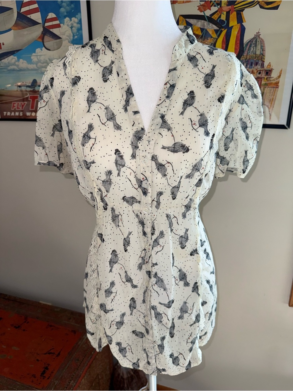 Kirra Sheer Button-down Blouse